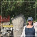 대율리 입구 주차장 옆 | "대구 드라이브 어디가지?" 군위 한밤마을 돌담길 대율리 대청 주차