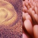 금호튼튼한의원 이미지