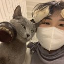 앙뚜네 미장원 이미지