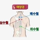 더조각테라피 이미지