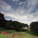 옥룡사지 이미지