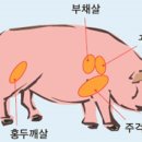 부위부위정육점 이미지