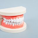 이턱퍼스트치과의원 이미지