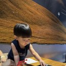 초원 낚시터 | 동탄 라크몽 네이처스케이프 아이랑 가봤어요｜공간별 체력 소모 얼마나 될까