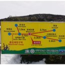 삼향-25 Daum카페