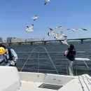 캔두코리아 이미지