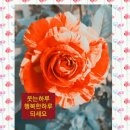 아침향기화원 이미지