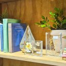 아트스틸 | 잠실 롯데뮤지엄 전시회 〈스틸, 타샤 튜더〉 장소 예매 할인 관람 후기