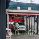 동두천 터틀 프렌즈 이미지