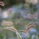 스마트폰으로 만드는 브이로그 이미지