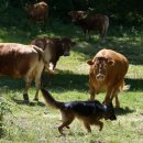 우성축산 이미지