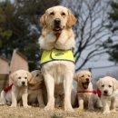 장애인사랑나눔터 이미지