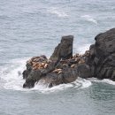 Trinidad State Beach - California State Parks - CA.gov 이미지