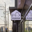 베스트 동물병원 이미지