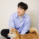 태호