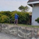 철마우체국 네이버블로그