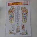 [보홀 여행] 발편한세상에서 건강도 챙겨갑시다 (발 마사지+각질 제거 후기)