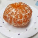 세훈농장 이미지