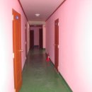 파라다이스민박 이미지