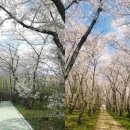 웅동시장 이미지