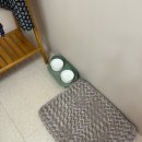 더바른동물병원 앞 이미지