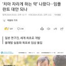 치아 자라게 하는 약 개발 이미지