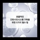 비긴즈디자인