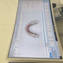 서울뉴치과의원 이미지