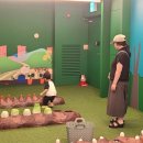 시골쥐를 부탁해 이미지