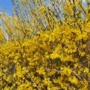 공릉천로 이미지