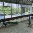 와가목장 이미지