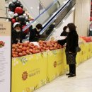 신세계산업 이미지