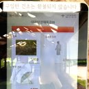 경사목장 | 강원도 가볼만한곳 대관령 양떼목장 직접 다녀온 솔직 후기