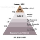 커먼커피 이미지