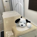 슈가링바이지 이미지