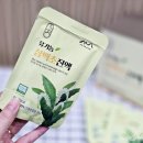 삼백초 효능 비염에좋은약초 세명한방 유기농 삼백초진액 후기