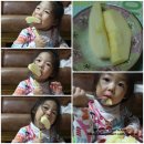 송씨네농장 | 청송사과 아침애 사과는 금사과!!