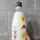 장수홍삼 | 달밤장수 막걸리 시음 후기