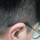 이도이엔지 | 청각 과민증과 귀 통증을 줄여주는 플레어 오디오 '칼머 프로(Calmer Pro)' 솔직 사용 후기