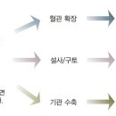 알레르기 이미지