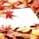 이동원의 가을 편지 이미지