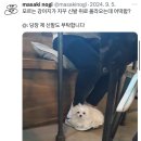 [주간일기 11-2] Dear me, Love me