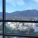 영 당구클럽 이미지