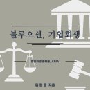 블루회생법률사무소 이미지