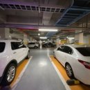 중랑숲리가 이미지