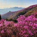 제560차 광주 메아리산악회 정기산행(여수 영취산) 이미지