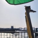 오이도 당일치기 난전시장 난전어시장 야장 포차감성 선셋 야경 주차 이용 후기 (+정찰제)