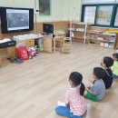 금광초병설유치원 이미지