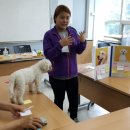 유앤아이해피심리상담센터한국동물매개심리치료학회연구소