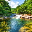 도림사(매표소) 이미지